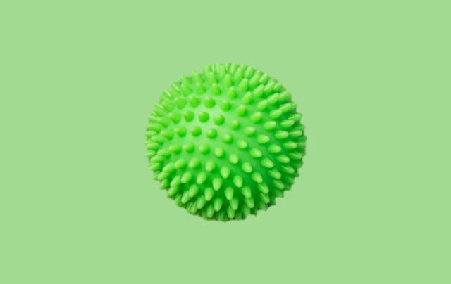 Example Dog Toy Product